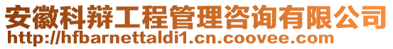 安徽科辯工程管理咨詢有限公司
