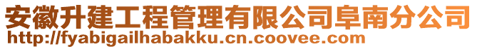 安徽升建工程管理有限公司阜南分公司