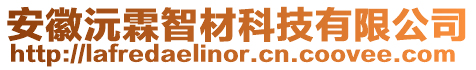 安徽沅霖智材科技有限公司