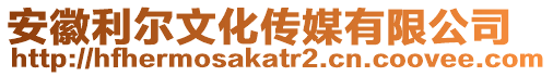 安徽利爾文化傳媒有限公司