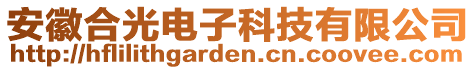 安徽合光電子科技有限公司