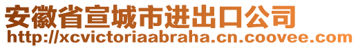 安徽省宣城市进出口公司