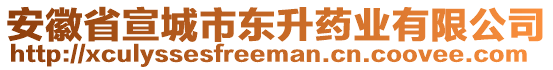 安徽省宣城市東升藥業(yè)有限公司