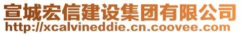 宣城宏信建设集团有限公司