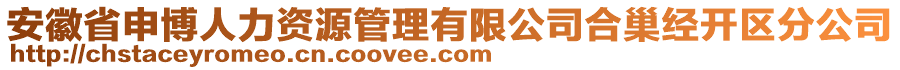 安徽省申博人力資源管理有限公司合巢經(jīng)開區(qū)分公司