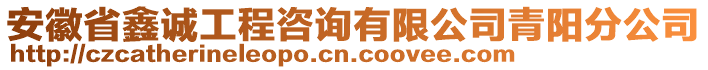 安徽省鑫誠工程咨詢有限公司青陽分公司