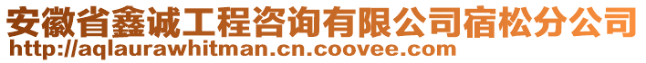 安徽省鑫誠工程咨詢有限公司宿松分公司