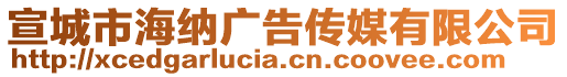 宣城市海納廣告?zhèn)髅接邢薰? style=