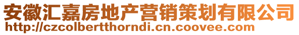 安徽匯嘉房地產營銷策劃有限公司