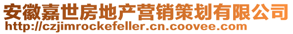 安徽嘉世房地產(chǎn)營(yíng)銷(xiāo)策劃有限公司