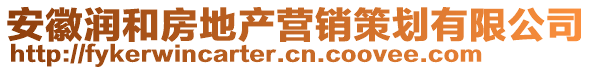 安徽潤和房地產(chǎn)營銷策劃有限公司