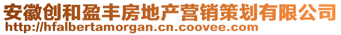 安徽創(chuàng)和盈豐房地產(chǎn)營銷策劃有限公司