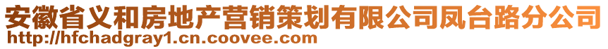 安徽省義和房地產(chǎn)營銷策劃有限公司鳳臺路分公司