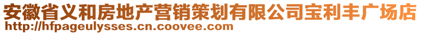 安徽省義和房地產營銷策劃有限公司寶利豐廣場店