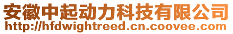 安徽中起動(dòng)力科技有限公司