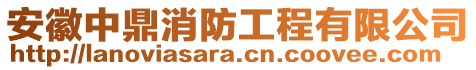 安徽中鼎消防工程有限公司