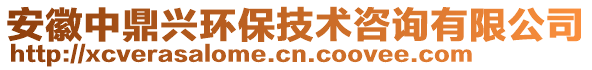 安徽中鼎興環(huán)保技術(shù)咨詢有限公司