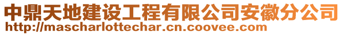 中鼎天地建設(shè)工程有限公司安徽分公司