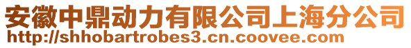 安徽中鼎動力有限公司上海分公司