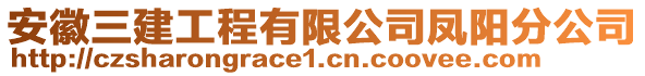 安徽三建工程有限公司鳳陽分公司