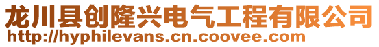 龍川縣創(chuàng)隆興電氣工程有限公司