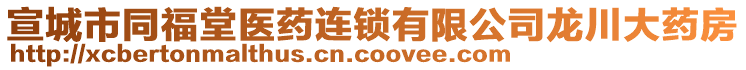 宣城市同福堂醫(yī)藥連鎖有限公司龍川大藥房