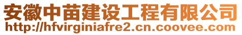 安徽中苗建設(shè)工程有限公司