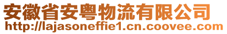 安徽省安粵物流有限公司