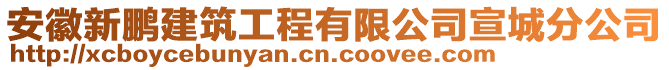 安徽新鵬建筑工程有限公司宣城分公司