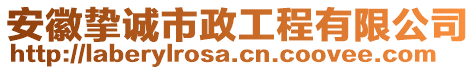 安徽摯誠市政工程有限公司