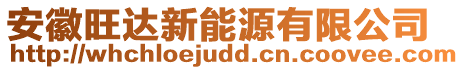 安徽旺達新能源有限公司