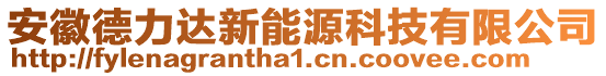 安徽德力達(dá)新能源科技有限公司