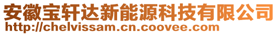 安徽寶軒達新能源科技有限公司