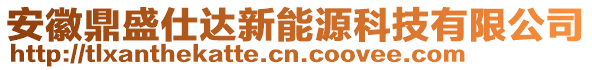 安徽鼎盛仕達新能源科技有限公司