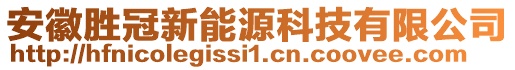 安徽勝冠新能源科技有限公司