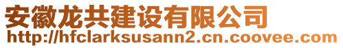 安徽龍共建設(shè)有限公司