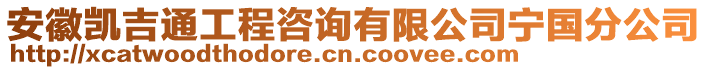 安徽凱吉通工程咨詢有限公司寧國(guó)分公司