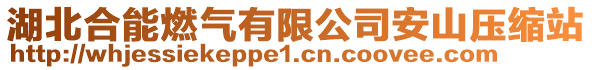 湖北合能燃?xì)庥邢薰景采綁嚎s站