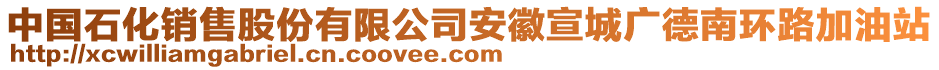 中國石化銷售股份有限公司安徽宣城廣德南環(huán)路加油站