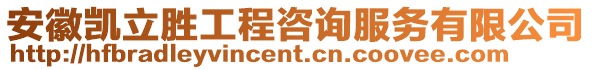 安徽凱立勝工程咨詢服務有限公司