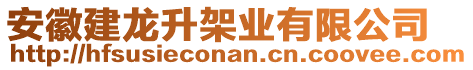 安徽建龍升架業(yè)有限公司