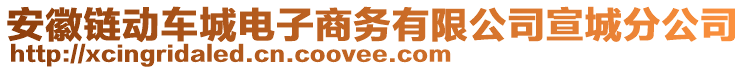 安徽鏈動(dòng)車(chē)城電子商務(wù)有限公司宣城分公司