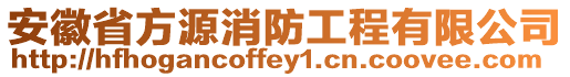 安徽省方源消防工程有限公司