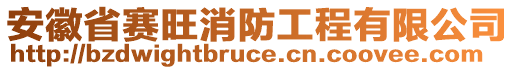 安徽省賽旺消防工程有限公司