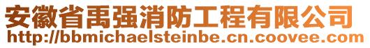 安徽省禹強消防工程有限公司