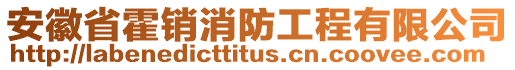 安徽省霍銷消防工程有限公司