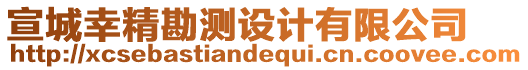 宣城幸精勘測設(shè)計有限公司