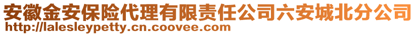 安徽金安保險(xiǎn)代理有限責(zé)任公司六安城北分公司