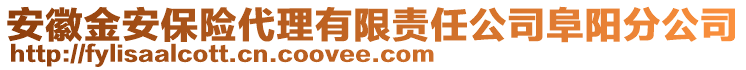 安徽金安保險代理有限責(zé)任公司阜陽分公司