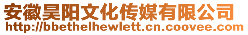 安徽昊阳文化传媒有限公司